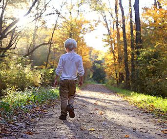 blonde boy wanders in the woods forest 