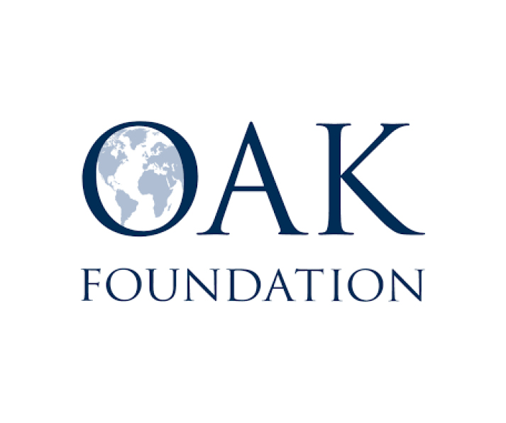 oak foundation written out in blue, the O in oak is a globe